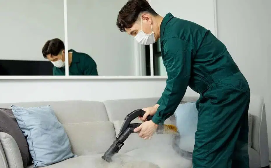 Upholstery Cleaning